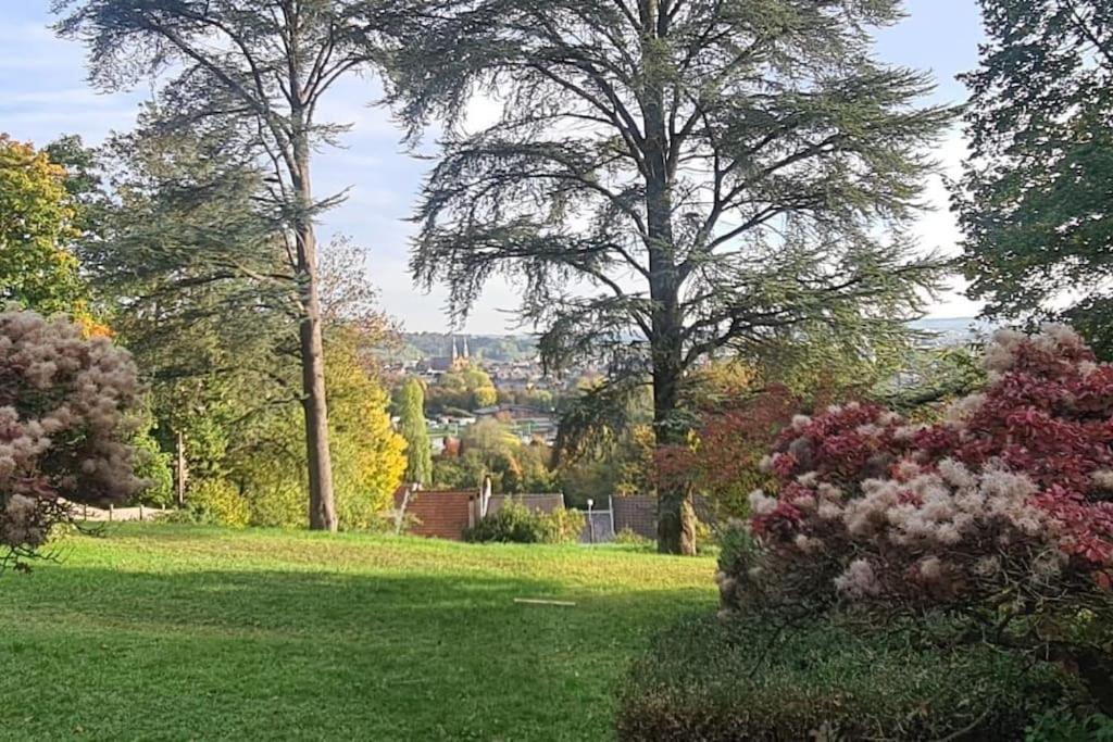 Appartement Loft Les Deux Cedres Avec Vue Panoramique à Charleville-Mézières Extérieur photo